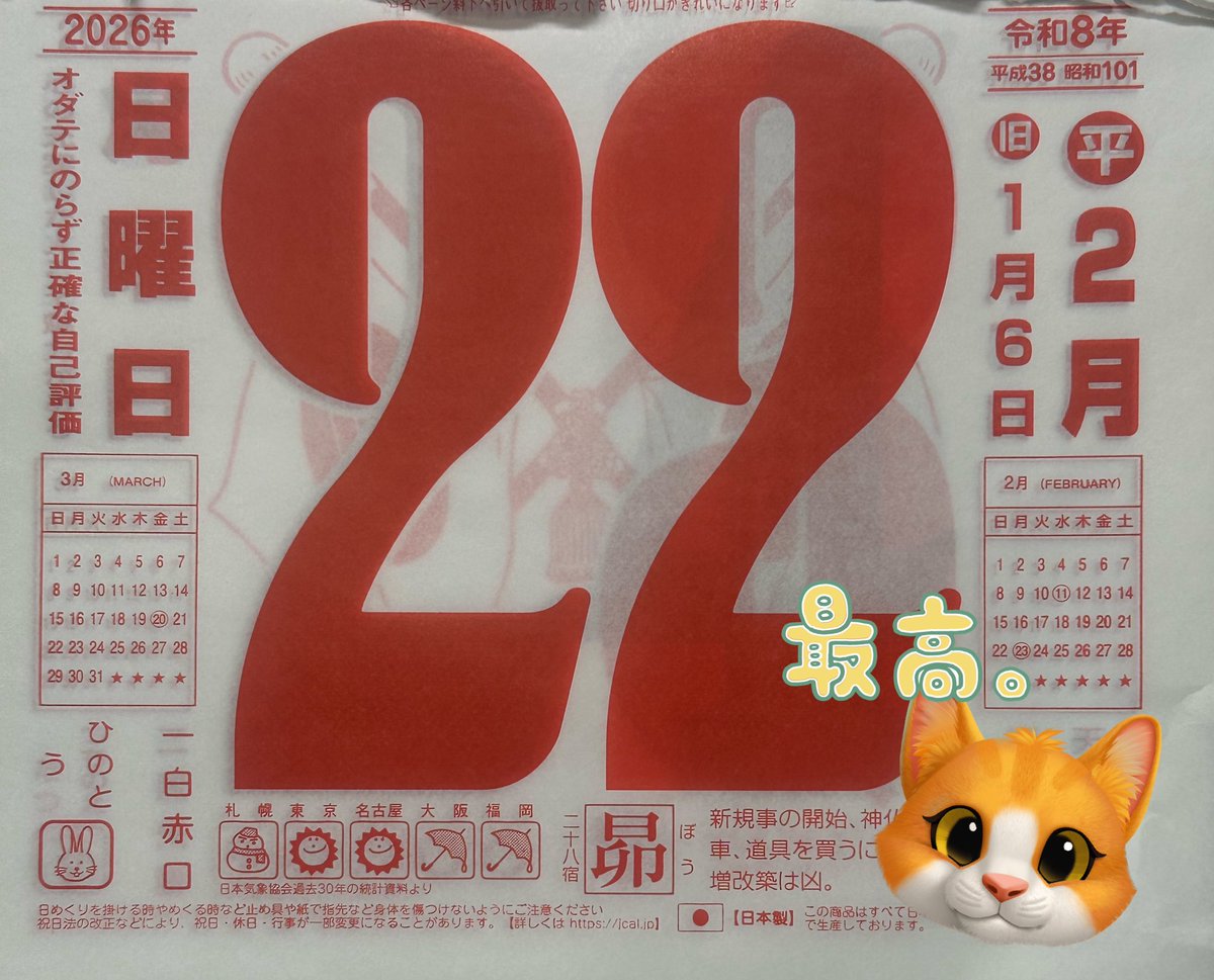 さわやか連休、にゃちようび！！ ☀️☀️🐱🐾🐱🐾 昨日なんやかんや