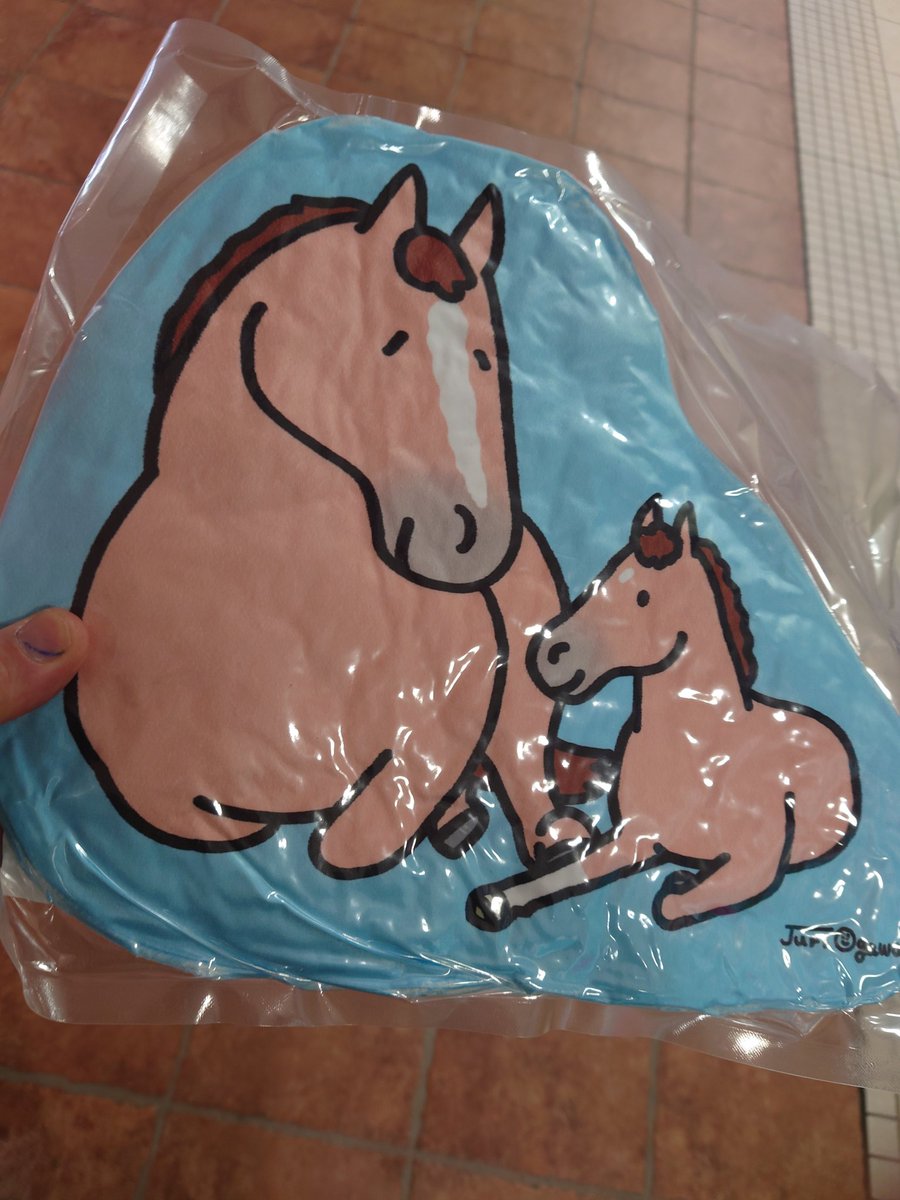 東京競馬場ウェルカムチャンス、A賞当たりました。 お目当ては特別賞