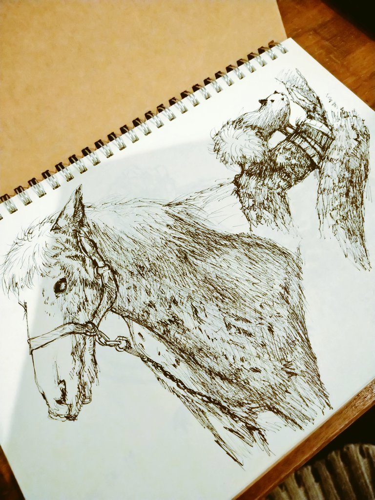 実は鳥と同じくらい馬も好きです。 モチーフとしてあまり描いたことは