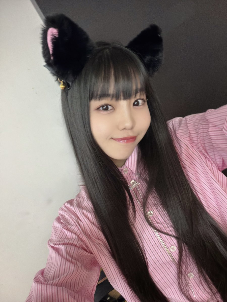 😻😻😻😻😻😻😻😻😻