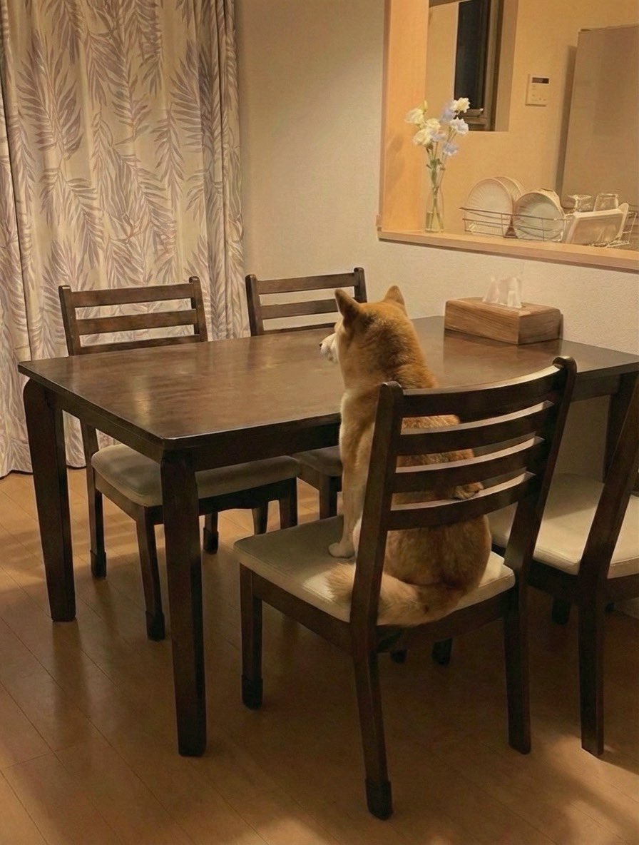 ひでろう1978 (@hiderou1978) / Posts / X