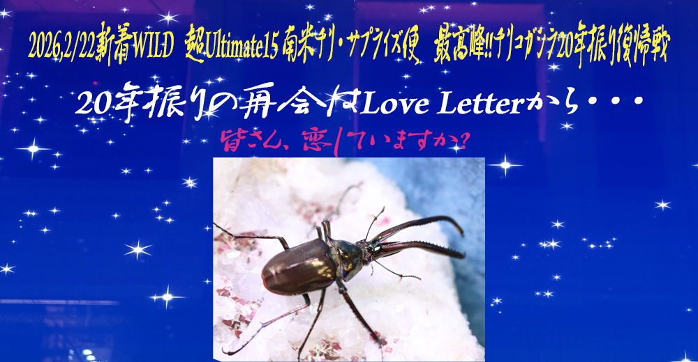 かぶぶくわわ (@mushi_lowkun) / Posts / X