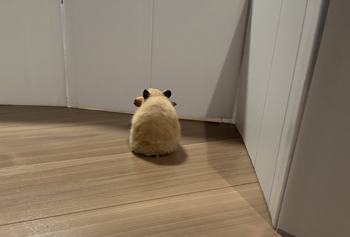 百獣の王 (@daitokaisaitama) on X