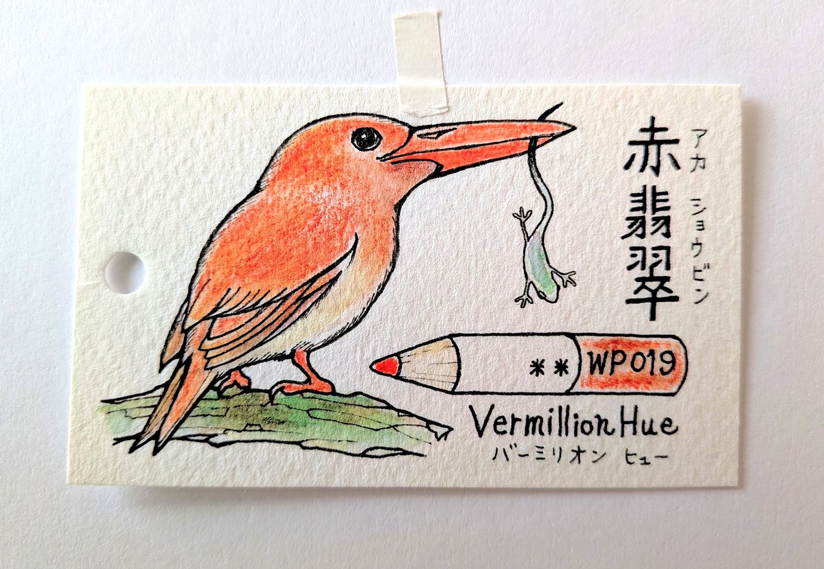 ホルベイン 水彩色鉛筆24色セットで 鳥を描くシリーズ🎨🖍️ 紙は