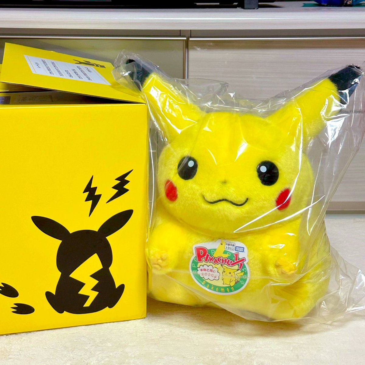 初期ピカチュウϞໂ•·̫•ໃ♥ (@PIKApikaSRP) / Posts / X