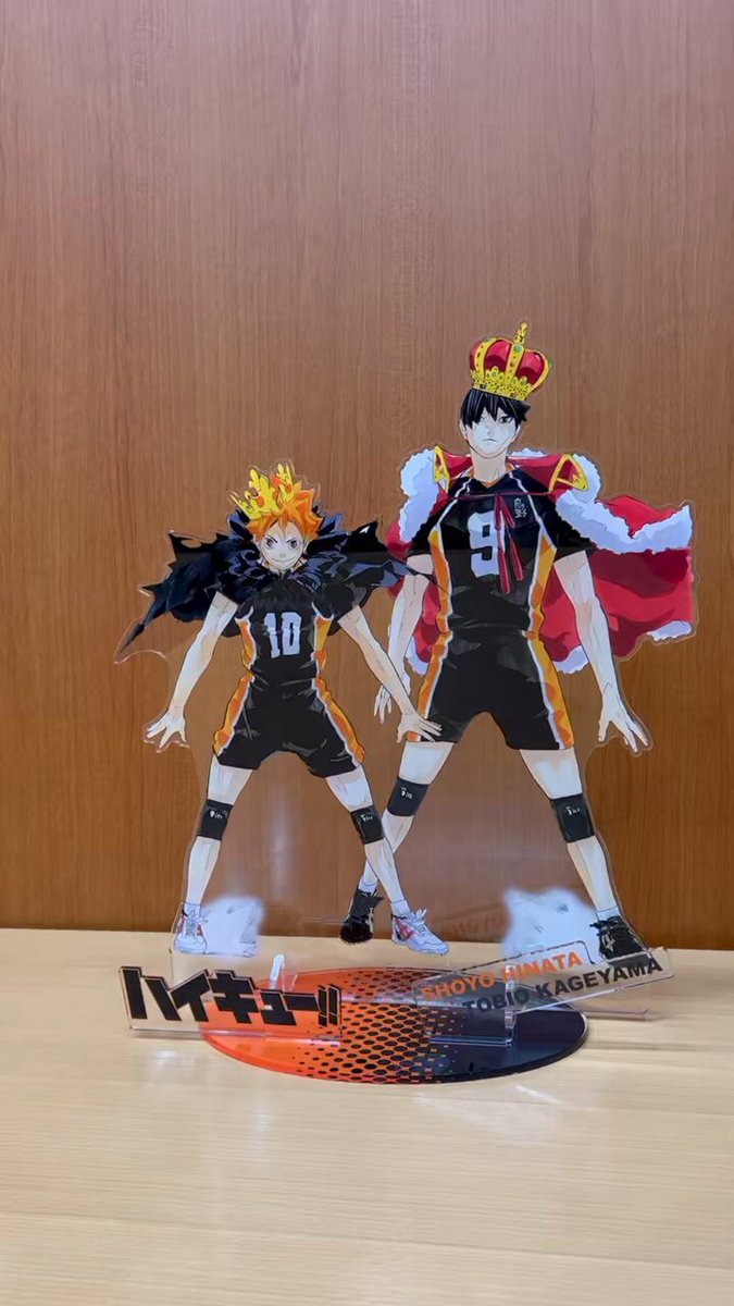 ⚠️1/31(水)受注締切⚠️】 🌟大好評受注中🌟 『#ハイキュー