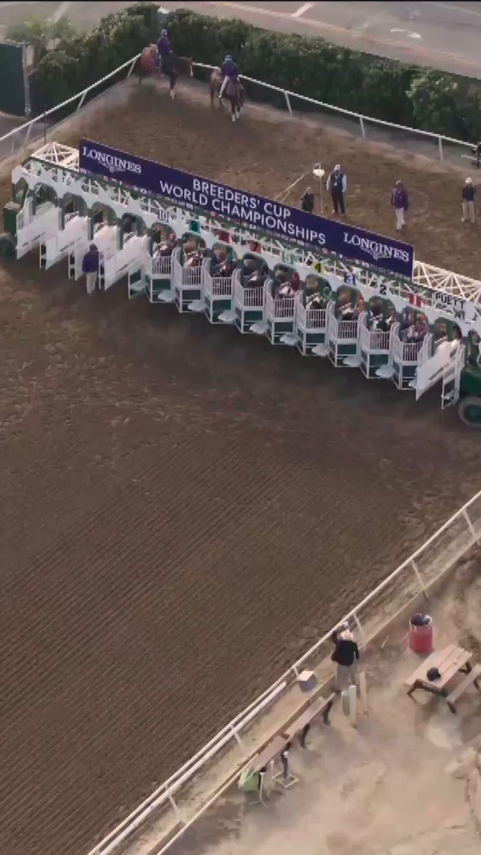 CELEBRATE JAPAN 🇯🇵 Forever Young wins the 2025 Breeders' Cup