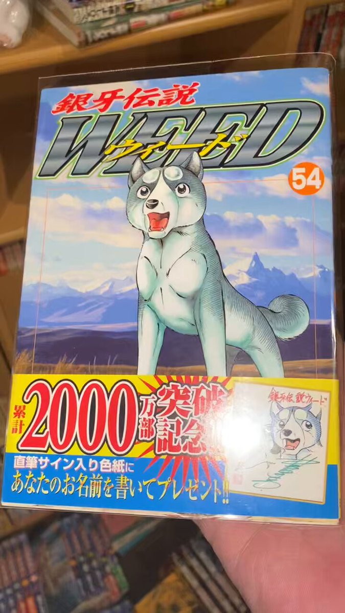 銀牙伝説漫画レイアウト中♪54巻の2000万部突破記念の帯を見てます