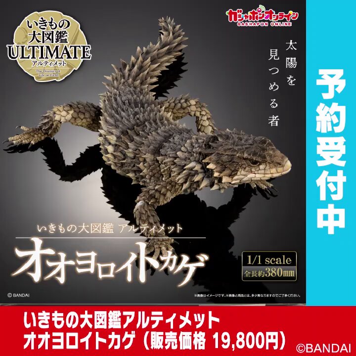 いきもの大図鑑アルティメット オオヨロイトカゲ （税込19,800円