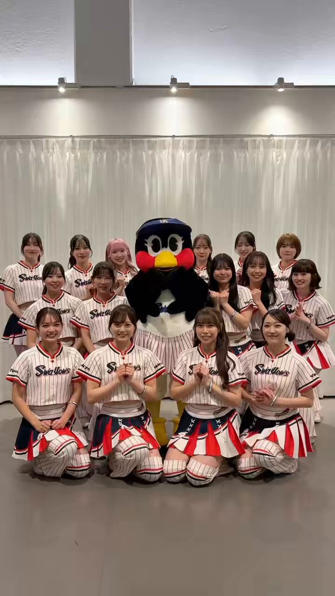 Swallows Passion (@SwallowsPassion) / Posts / X