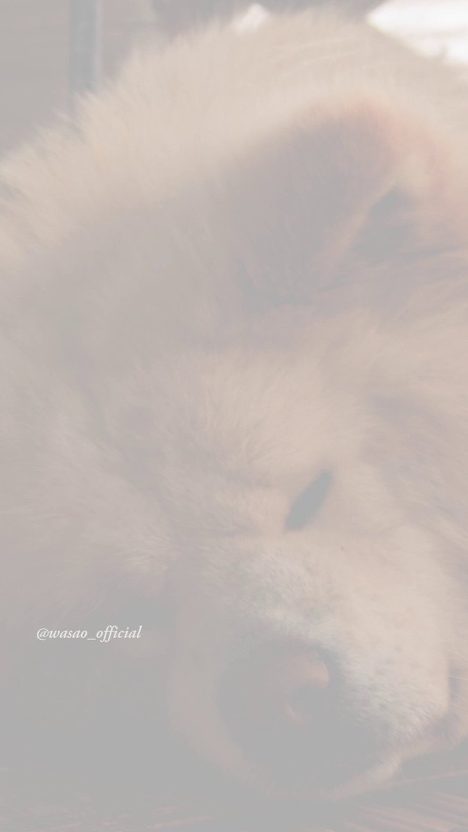 わさお公式 (@WASAO_official) / Posts / X