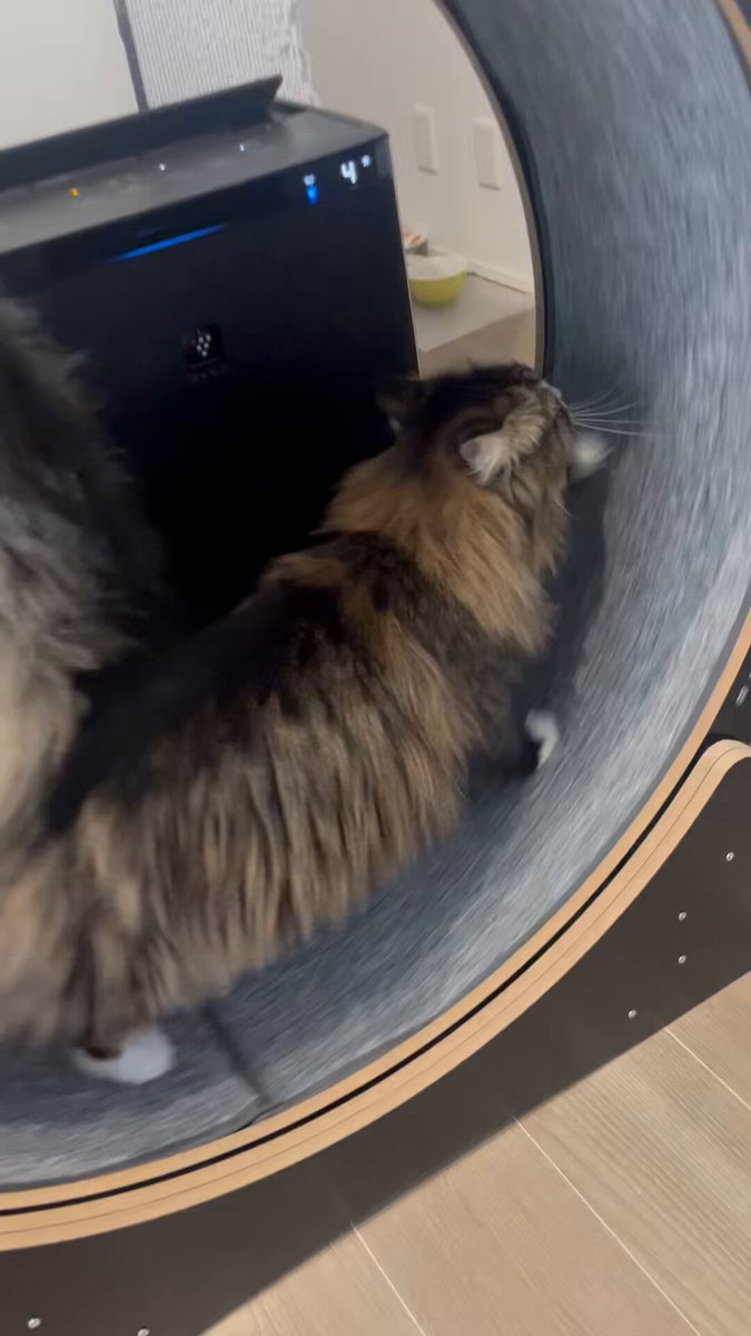 しんじさん (@Shinjisan_XD) / Posts / X