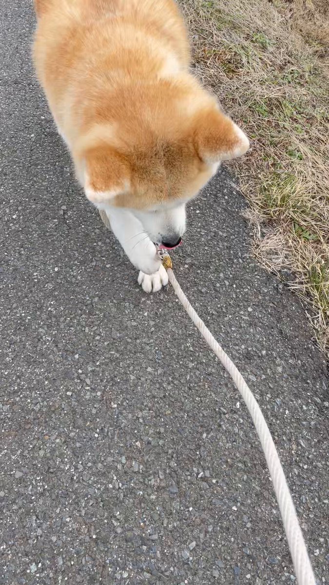 ْ (@65907_30_4) / Posts / X