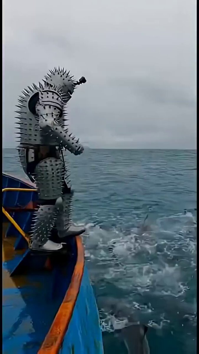 Kinako (@k17ko6m0t1) / Posts / X