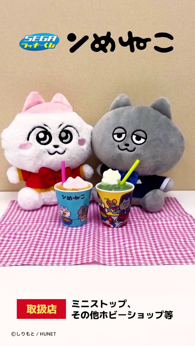 💛￣￣￣￣￣￣￣￣￣￣￣￣🎉 セガ ラッキーくじ #ンめねこ 好評販売