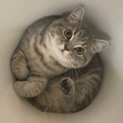 いわし先生 (@IWASHI_0723) / Posts / X