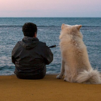 わさお公式 (@WASAO_official) / Posts / X