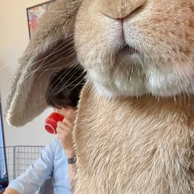 もっちゃん（TAKUMI） (@koedo_tyan) / Posts / X