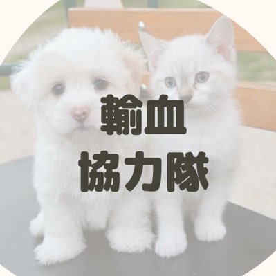 いぬねこ輸血協力隊 (@inuneko_yuketsu) / Posts / X