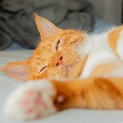 はるきち (@harukichi425) / Posts / X