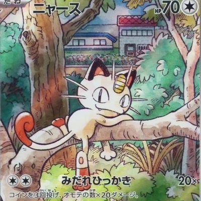 あきにゃん@ (@naoiakinyan) / Posts / X