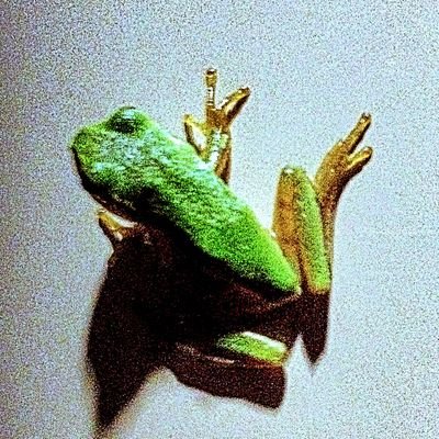 やすひろ。@バイオジオマット販売中 (@Biogeomat) / Posts / X