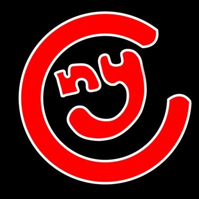 川井萌選手のサイン入り【尼崎】※変更点ご確認ください！ 川井萌選手の