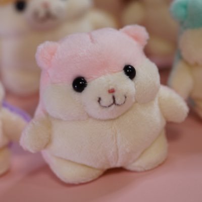 ハムちゃん＋Project (@HamuKikaku) / Posts / X