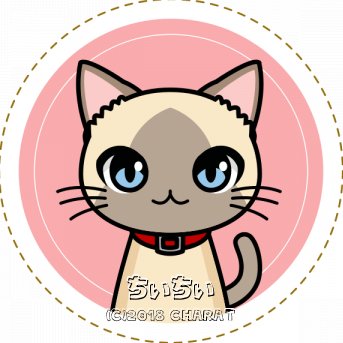 ちぃちぃ (@chikorinakitty) / Posts / X