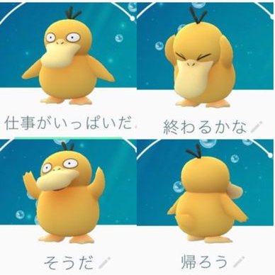 ミーアキャット (@meerkat_cd) / Posts / X