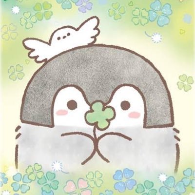 5月9日(金)発売‼️ ＼ 🍀新商品のお知らせ🍀／ 『シロツメクサな幸せ