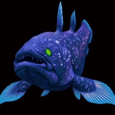 シーラカンス (@sinkai1137) / Posts / X