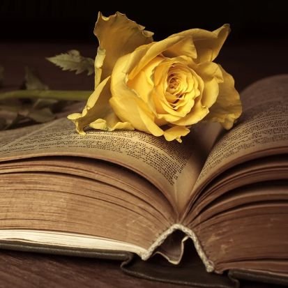 かしゃん(ﾟーﾟ) (@okadakun_V6) / Posts / X