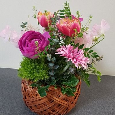 あずき (@azukiao3456) / Posts / X