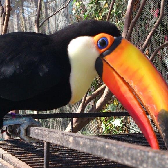 以前サイン本を頂きました殿ヶ谷美由記先生の「だんだらごはん」2巻が