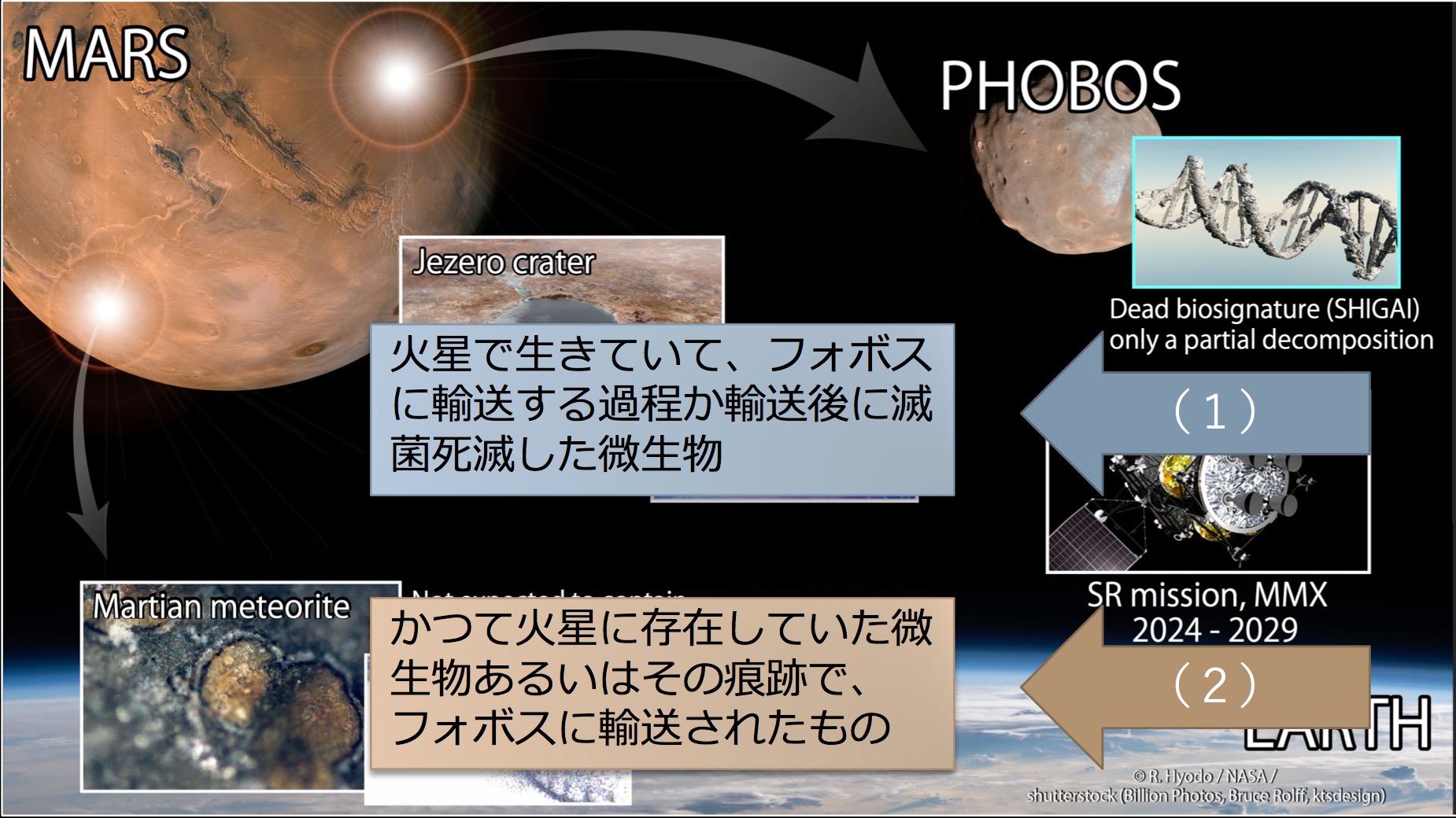 火星の衛星で「死骸」を探せ。火星生命探査に迫る日本の火星衛星探査