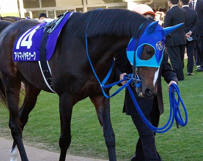 有馬記念は堂々の逃げ切りで、ダイワスカーレットが牝馬37年振り史上