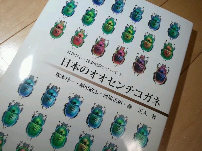 日本のオオセンチコガネ」 : 些昆虫記