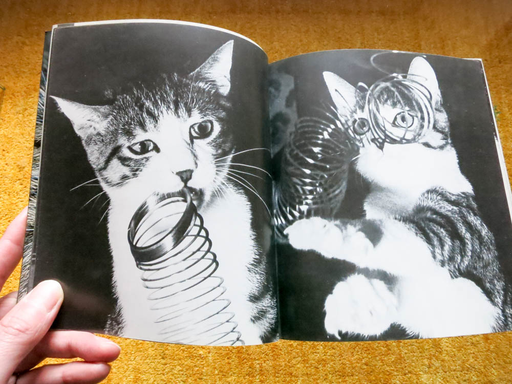 深瀬昌久 Masahisa Fukase 「サスケ!! いとしき猫よ Sasuke!! Dear my