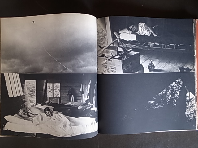 SUMMER'S CHILDREN / Barbara Morgan : Books & Things