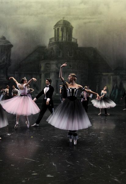 シャネル＆パリオペ : 風歩記