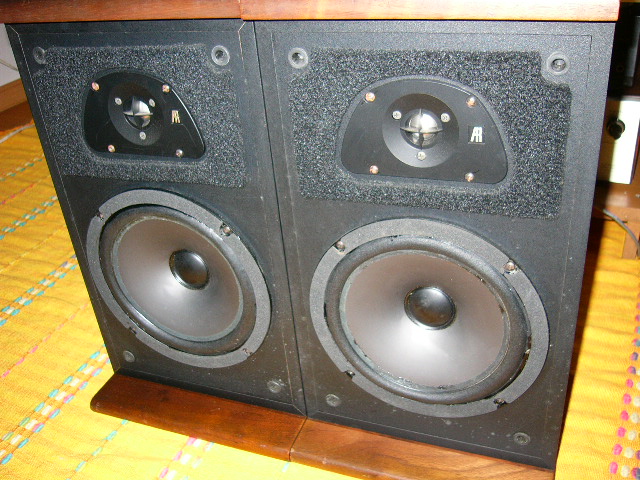 AR」 Acoustic Research TSW 210 : たもの部屋