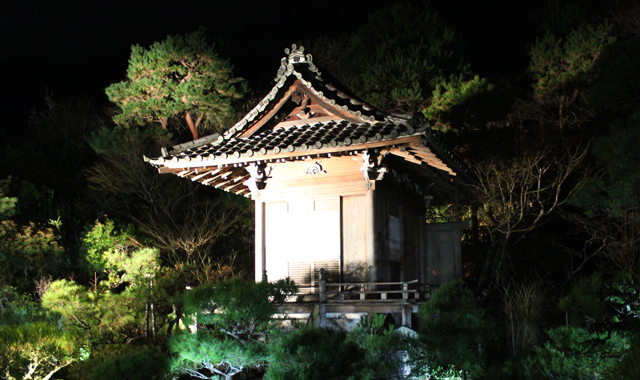 松井佳一著「科学と趣味から見た金魚の研究」から② : きんととの夢