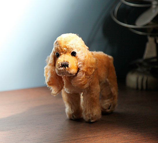 ビンテージ シュタイフのアメリカン・コッカー・スパニエル！ : iinu BLOG