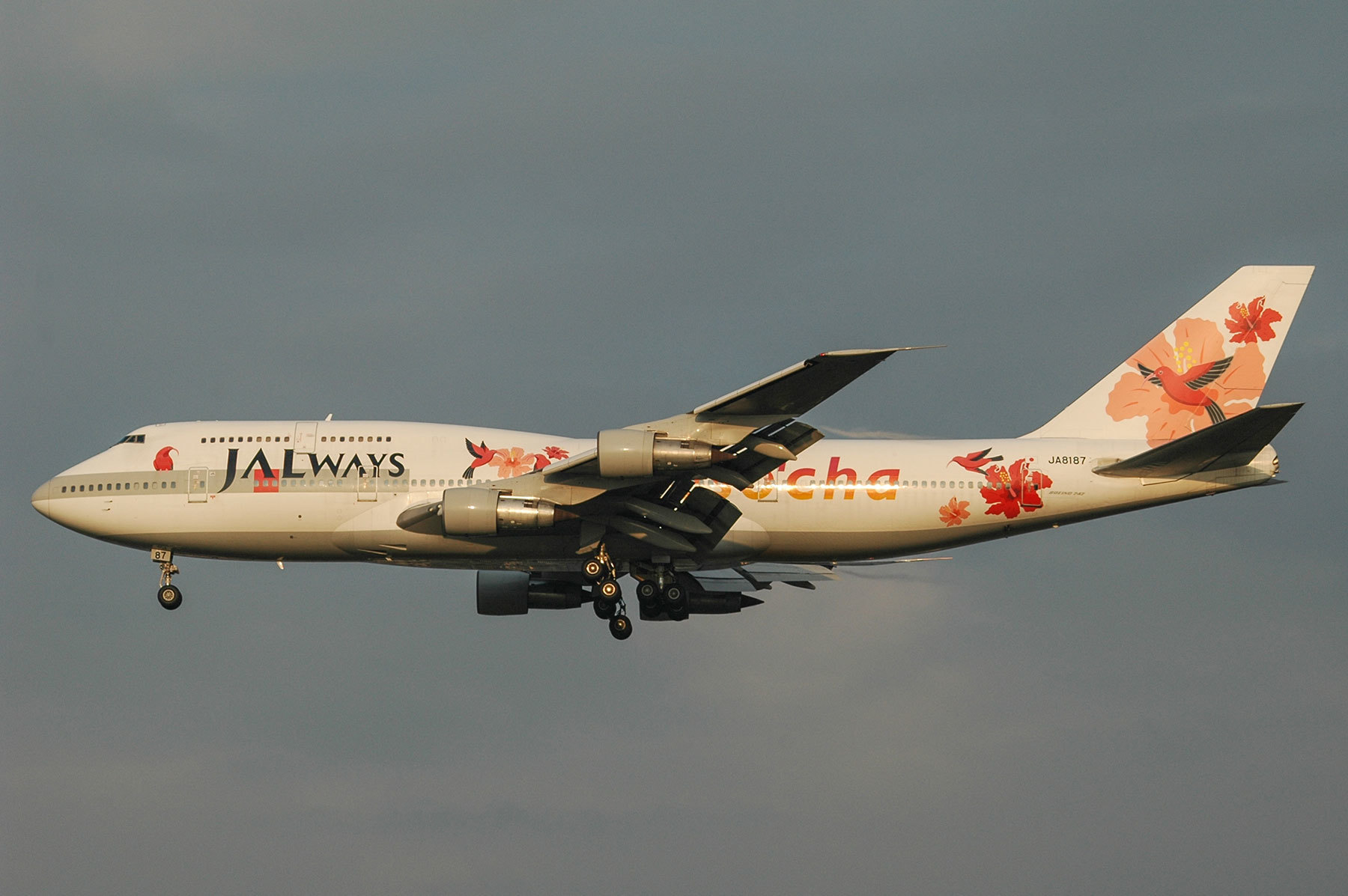 JALUX 1/200 B747-300 JALスーパーリゾート沖縄JA8186 JALUX 1/200