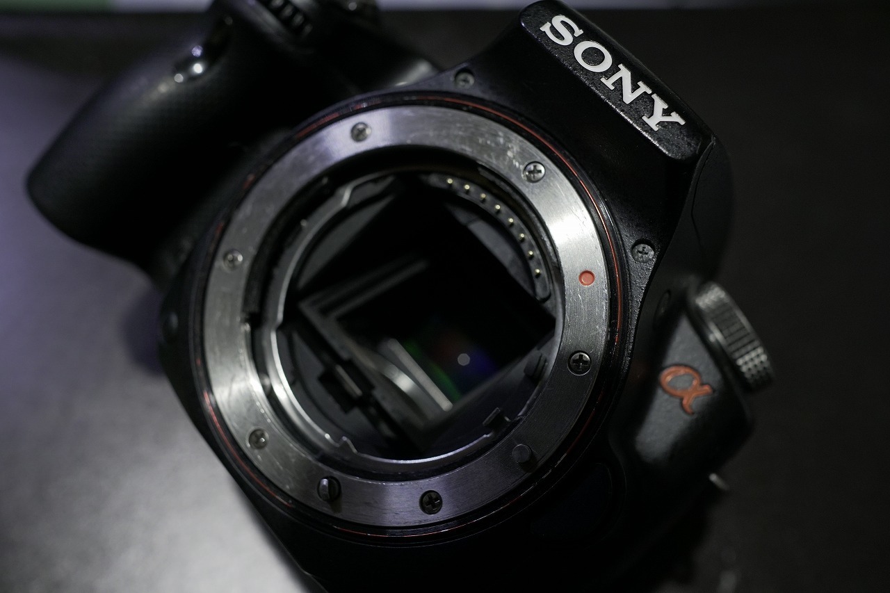 本日のジャンクは SONY α55+Minolta 50mm f2.8 Macro なのだ