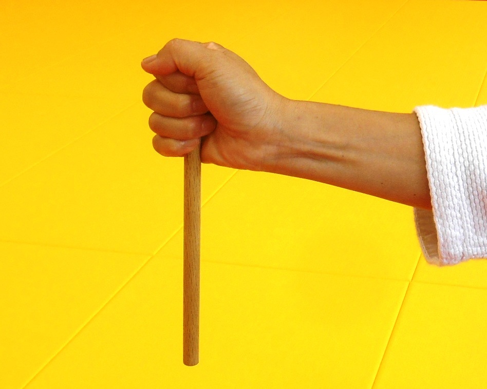 浅山一伝流捕手術八寸挫之伝 : 国際水月塾武術協会 International