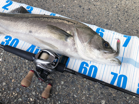 ラブラックスAGS 77LMLB : メカニコの釣り雑記帳