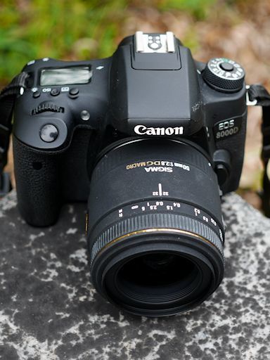 レンズ・マニアックス（87）補足編～SIGMA EX DG MACRO : 【匠の