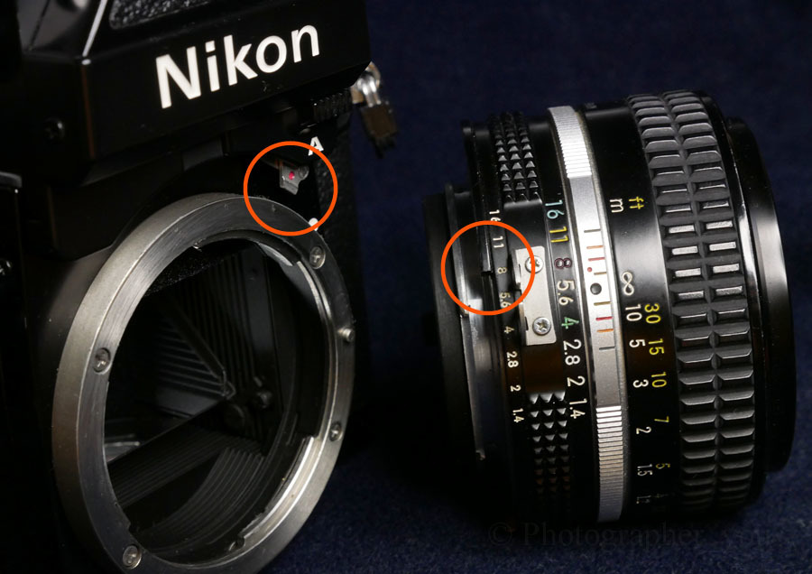 Nikonの「カニの爪」＜その2＞ : 寫眞機萬年堂 - since 2013 -